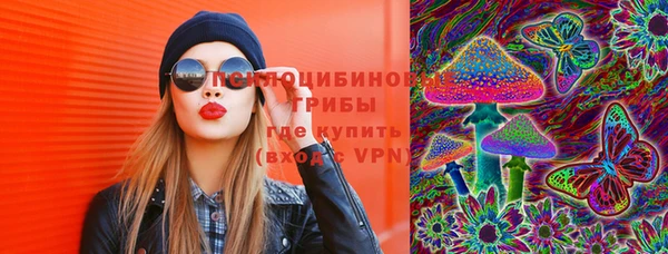 твердый Богородицк