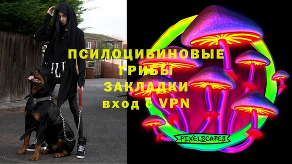 jwh Богданович