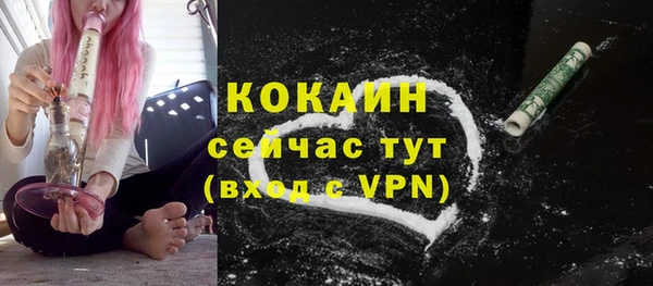 твердый Богородицк